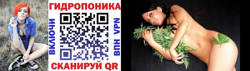 Меф мяу мяу Злынка