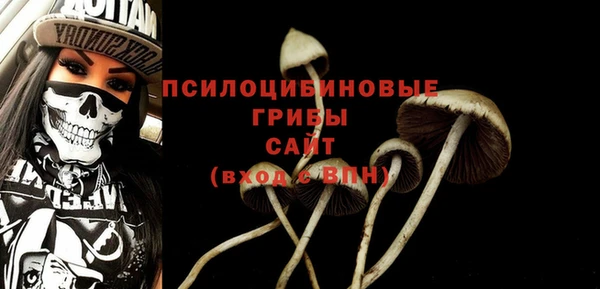 ALPHA-PVP Алексеевка