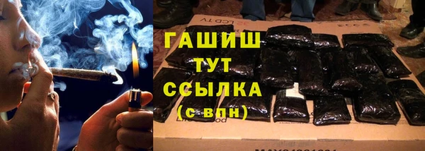 крисы Алзамай